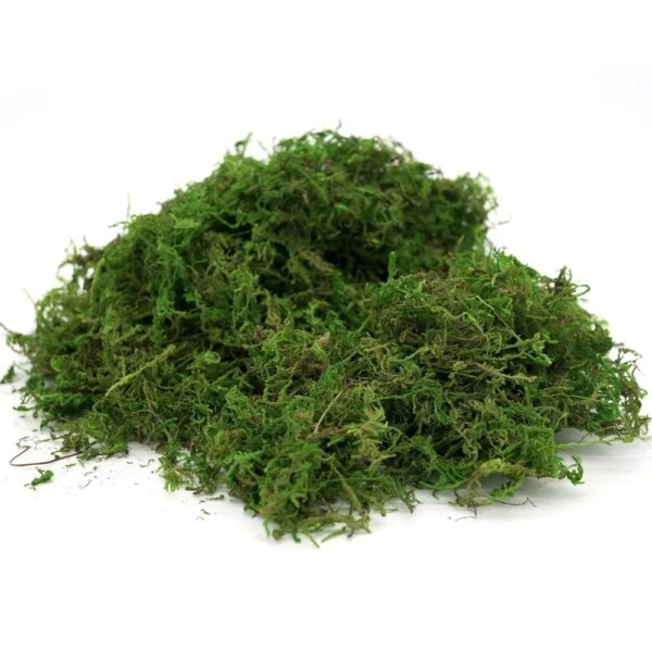 Fake Moss Artificial Green Moss for Potted Plants Fairy Garden Accessories