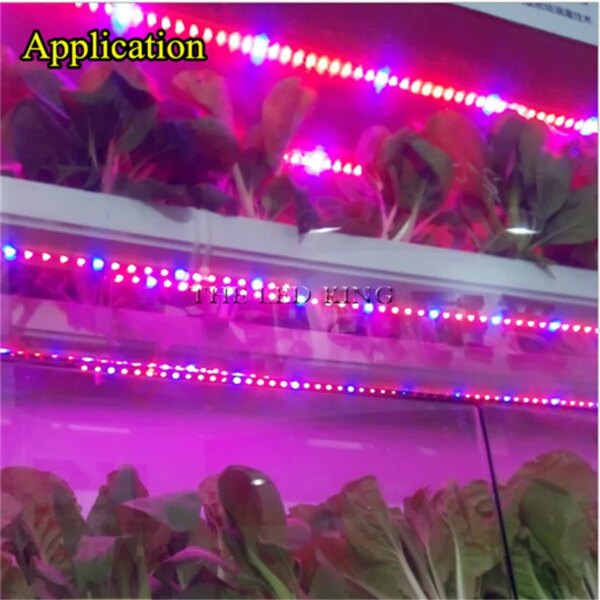 LED Grow light Full Spectrum 1M 4M 5M LED Strip 5050 LED Flower Plant Phyto Growth lamps For Greenhouse Hydroponic Plant Growing