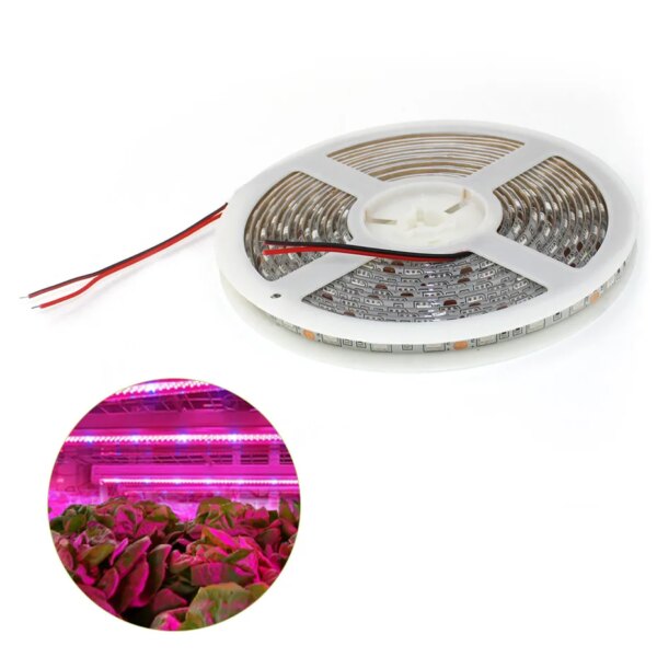 LED Grow light Full Spectrum 60led/m Waterproof IP65 LED Strip 5050 Flower Phyto Growth lamp For Indoor Hydroponic Plant Growing