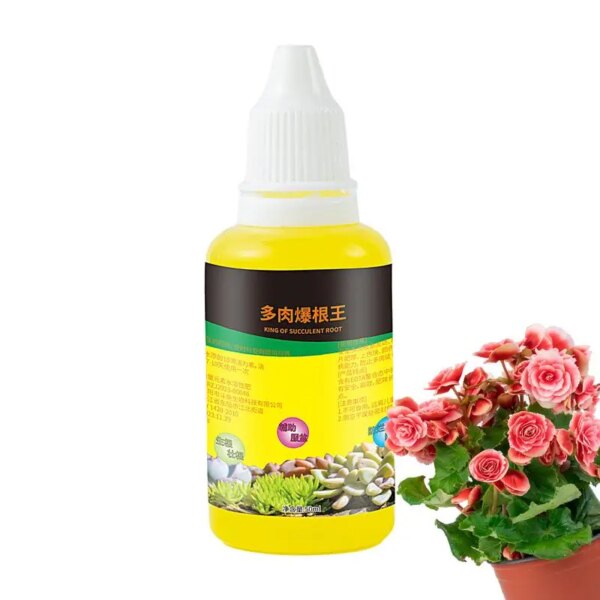 Succulent Fertilizer Plant Nutrition Fast growth Indoor plant nutrient Jade plant rooting agent Cactus Food garden accessories