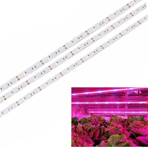 LED Grow light Full Spectrum 1M 2M 5M LED Strip 5050 LED Flower Plant Phyto Growth lamps For Greenhouse Hydroponic Plant Growing