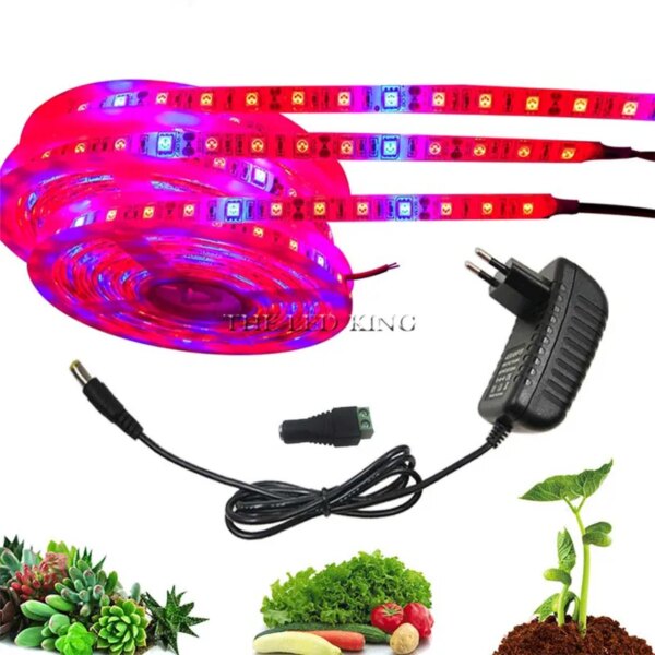 LED Grow light Full Spectrum 5M LED Strip light 5050 LED Flower Plant Phyto Growth lamps For Greenhouse Hydroponic Plant Growing